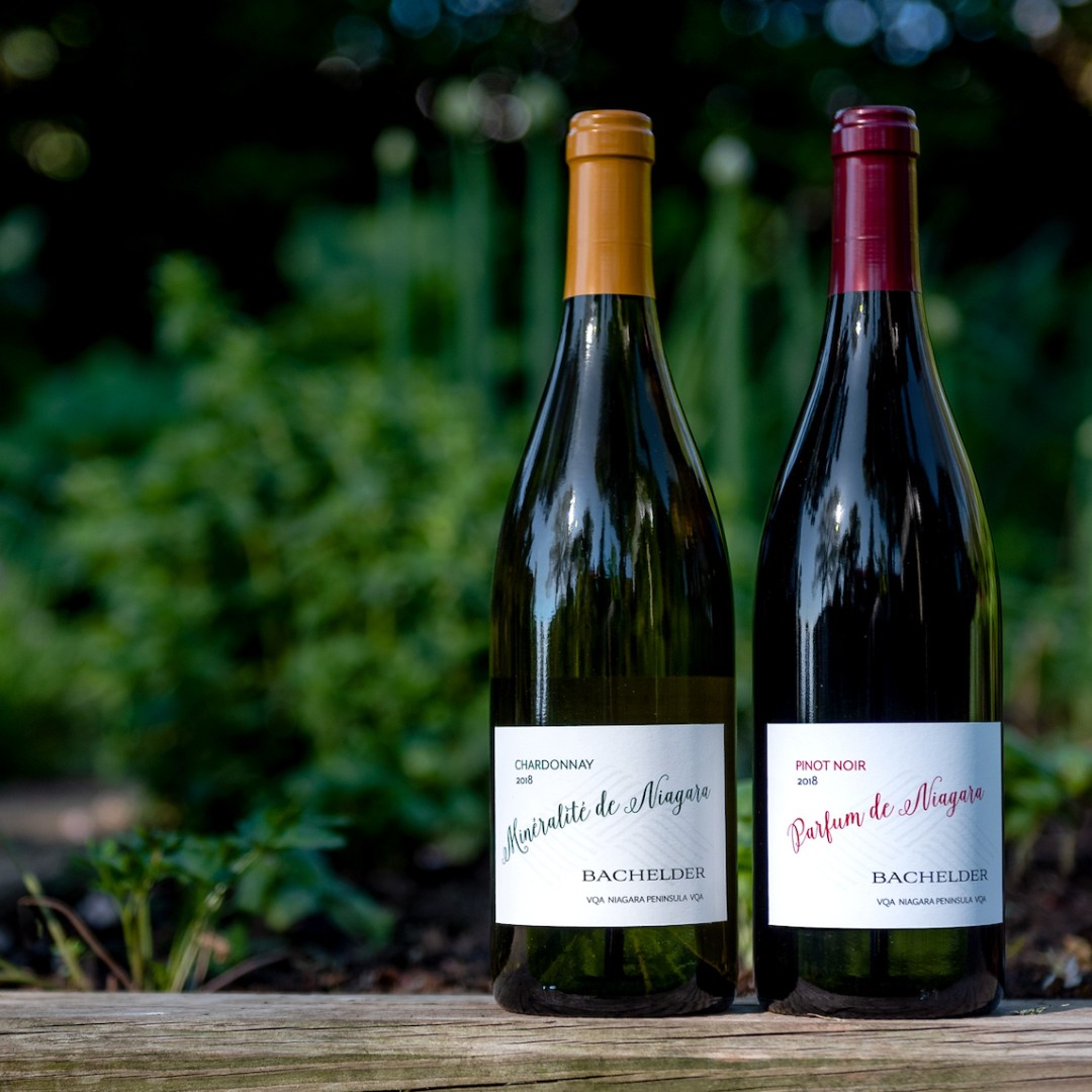 Somewhereness (@somewhereness) on Twitter photo The WINES OF SUMMER are back at <a href="/Bachelder_wines/">Bachelder Niagara</a>.
These 2 wines were crafted as food wines to find a place on restaurant lists. Order yours today.
#DiscoverSomewhereness #Terroir #BuyLocal #ONwine #OntarioWine #SupportLocal The WINES OF SUMMER are back at <a href="/Bachelder_wines/">Bachelder Niagara</a>.
These 2 wines were crafted as food wines to find a place on restaurant lists. Order yours today.
#DiscoverSomewhereness #Terroir #BuyLocal #ONwine #OntarioWine #SupportLocal