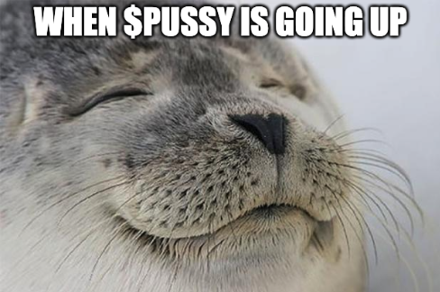 PUSSYFinancial's tweet photo. tfw .... https://t.co/O4faRZYerN