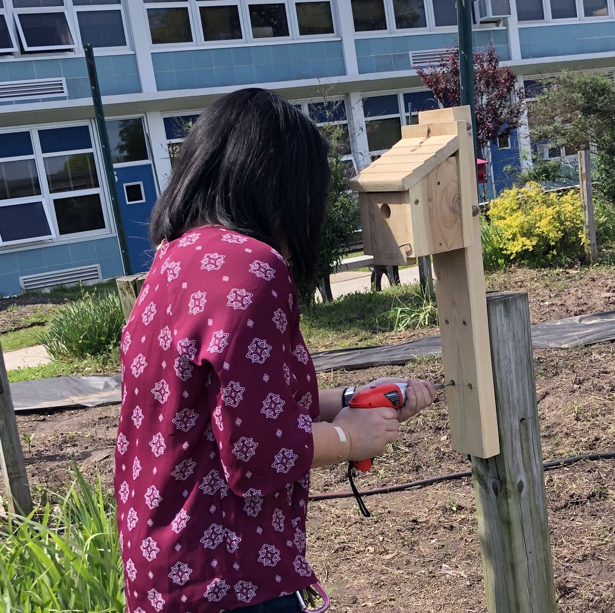 MetuchenSTEM tweet media