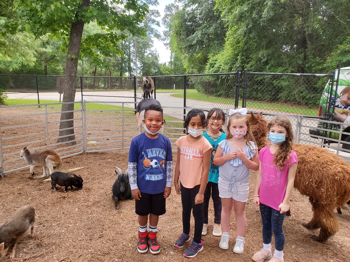 Hailey1st Grade tweet media