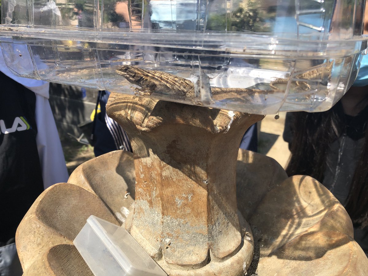 Monroe Middle School tweet media