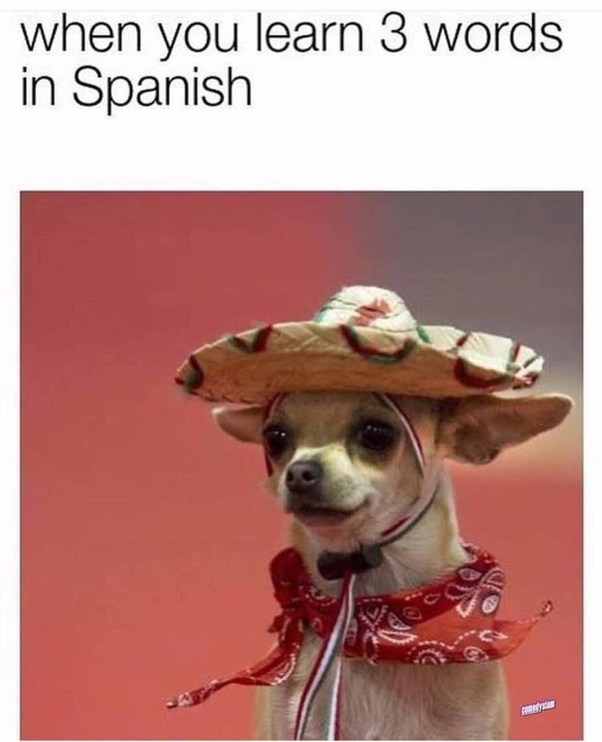 Homies - #homiesonlockdown #homies #dgatees #davidgonzalesart #lowrider  #streetlowmagazine #lowridermagazine #homeboys #cholos #cholas #latino  #mexican #mexicanamerican #hispanic #chicano #quarantine #stayathome  #coronavirus #stayathome | Facebook, image size:876x1080