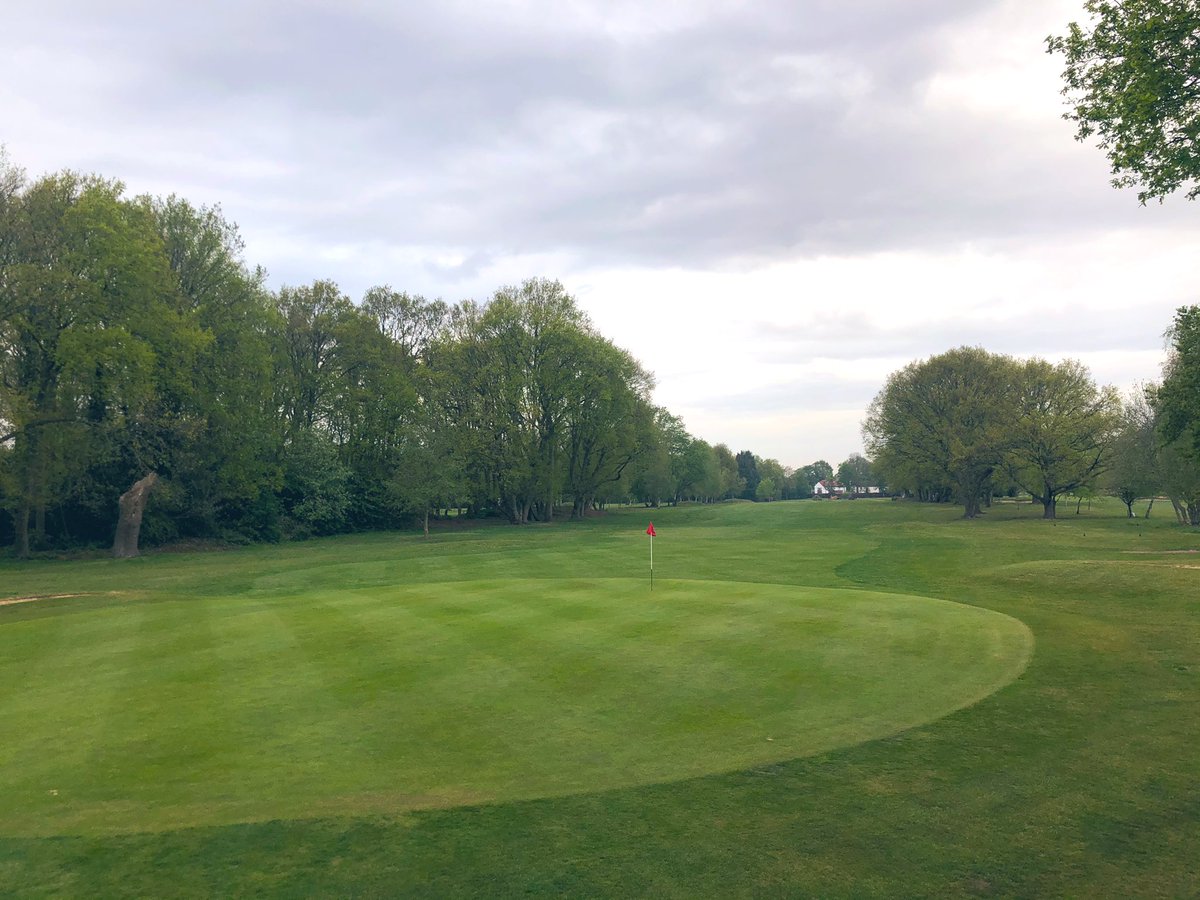 A double verti-cut, cut and a roll today to combat the uneven, lateral growth and the poa seed heads. Height of cut gradually lowering. Big improvement on playing surfaces this week!