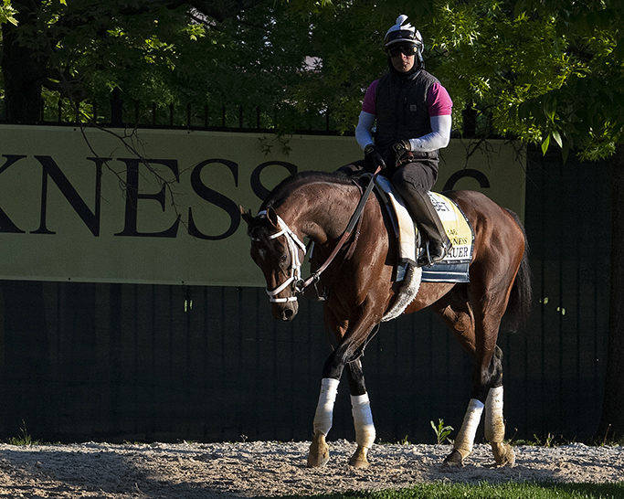 BH_AEberhardt's tweet photo. Morning action @PimlicoRC as contenders prepare for the @PreaknessStakes #ConcertTour #Rombauer #Ram #CoachIsBack #LukasRules More at @BloodHorse  #BHDaily #BH+ https://t.co/qgFlktINXS