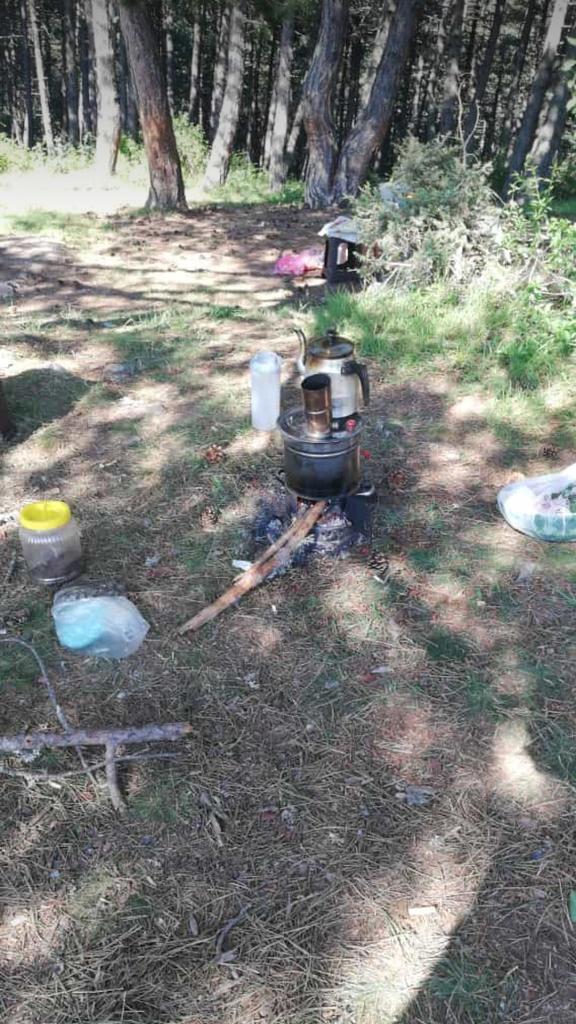 Nayram caylari hazir buyrun