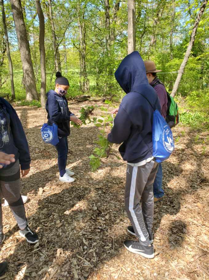 MrsRobertsSmith's tweet photo. Nature Walk https://t.co/keTLzzQPpp
