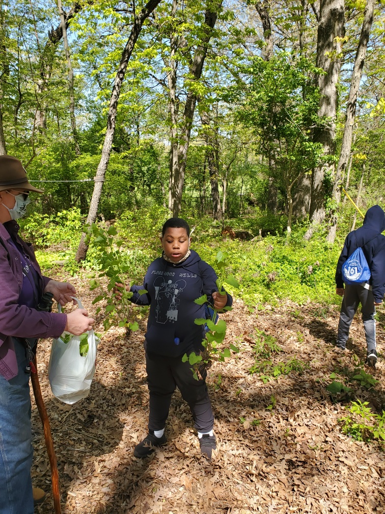 MrsRobertsSmith's tweet photo. Nature Walk https://t.co/keTLzzQPpp
