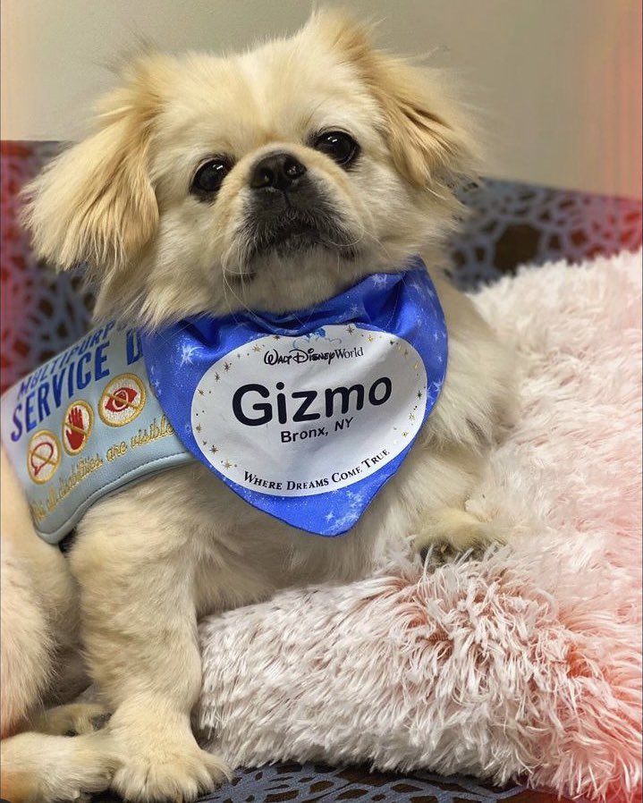 Marnina_Johnson's tweet photo. @wilting_x My Instagram is @marniesmarketplace 
I sell dog bandanas! https://t.co/Hqci3i699y