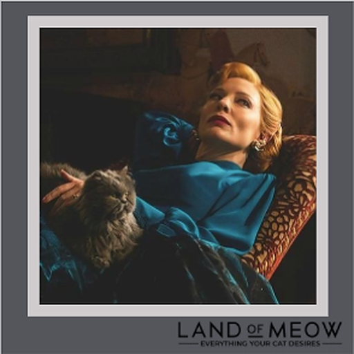 LandOfMeow's tweet photo. HAPPY BIRTHDAY CATE BLANCHETT! The Australian actress, producer, and theatre director is regarded as one of the greatest actresses of her generation. Blanchett has starred in films such as The Lord of the Rings and The Hobbit, Indiana Jones, Thor: Ragnarok and Ocean's 8!

#fcf https://t.co/rFt2sMaPwr