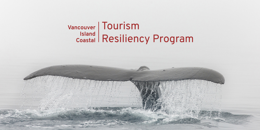 4VI (formerly Tourism Vancouver Island) (@4vicorp) on Twitter photo Our weekly info bulletin is out! Read it here: tinyurl.com/f97czu3k. Buy beer <a href="/vibrewing/">Vancouver Island Brewing</a>, save whales; New workshop May 26th: 10 Steps to Take Now for Short- & Long-term Success; We are attending <a href="/DestinationCAN/">Destination Canada</a> #RVCPlus; Our Latest Research & more #VICTRP Our weekly info bulletin is out! Read it here: tinyurl.com/f97czu3k. Buy beer <a href="/vibrewing/">Vancouver Island Brewing</a>, save whales; New workshop May 26th: 10 Steps to Take Now for Short- & Long-term Success; We are attending <a href="/DestinationCAN/">Destination Canada</a> #RVCPlus; Our Latest Research & more #VICTRP