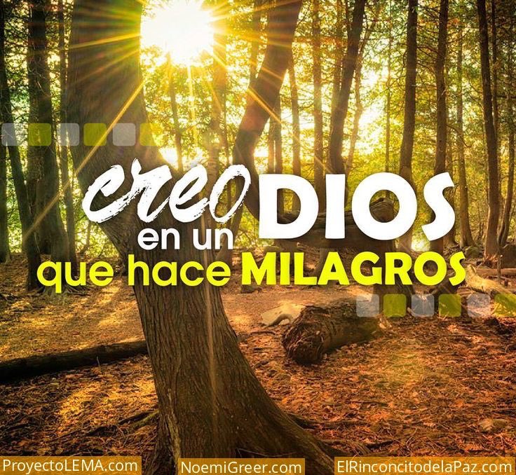 daloes10's tweet photo. Yo creo en un Dios de milagros, cuando el mundo te señale, recuerdo sólo Dios conoce tu corazón y Él es quien hará justicia!!!! DIOS ES BUENO, gracias Señor!!!! https://t.co/zUfYY1GwpL