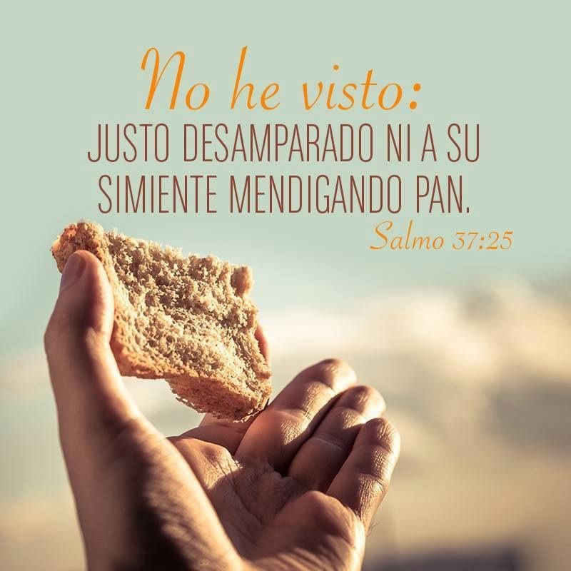 daloes10's tweet photo. Yo creo en un Dios de milagros, cuando el mundo te señale, recuerdo sólo Dios conoce tu corazón y Él es quien hará justicia!!!! DIOS ES BUENO, gracias Señor!!!! https://t.co/zUfYY1GwpL