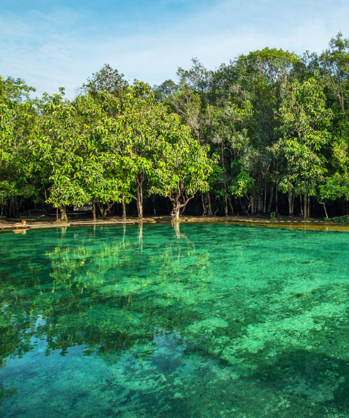 Have you visited one of Krabi's amazing natural pools?

It is time to plan your vacation - contact us today:
📧 dtkr@dusit.com
📞 075 628 000
💬 Facebook Messenger

#dusitkrabi #dusitthani #bewell #travelphotography