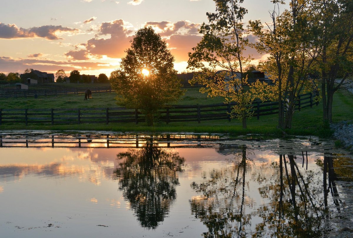 mcclanahanjanet's tweet photo. Pretty night for sunset and horses.     @AdamBurnistonWX @JimWKYT @Kentuckyweather @WLKYChris @KentuckyLiving @KentuckyTourism @BluegrassScenes https://t.co/7I9gzaNnmz