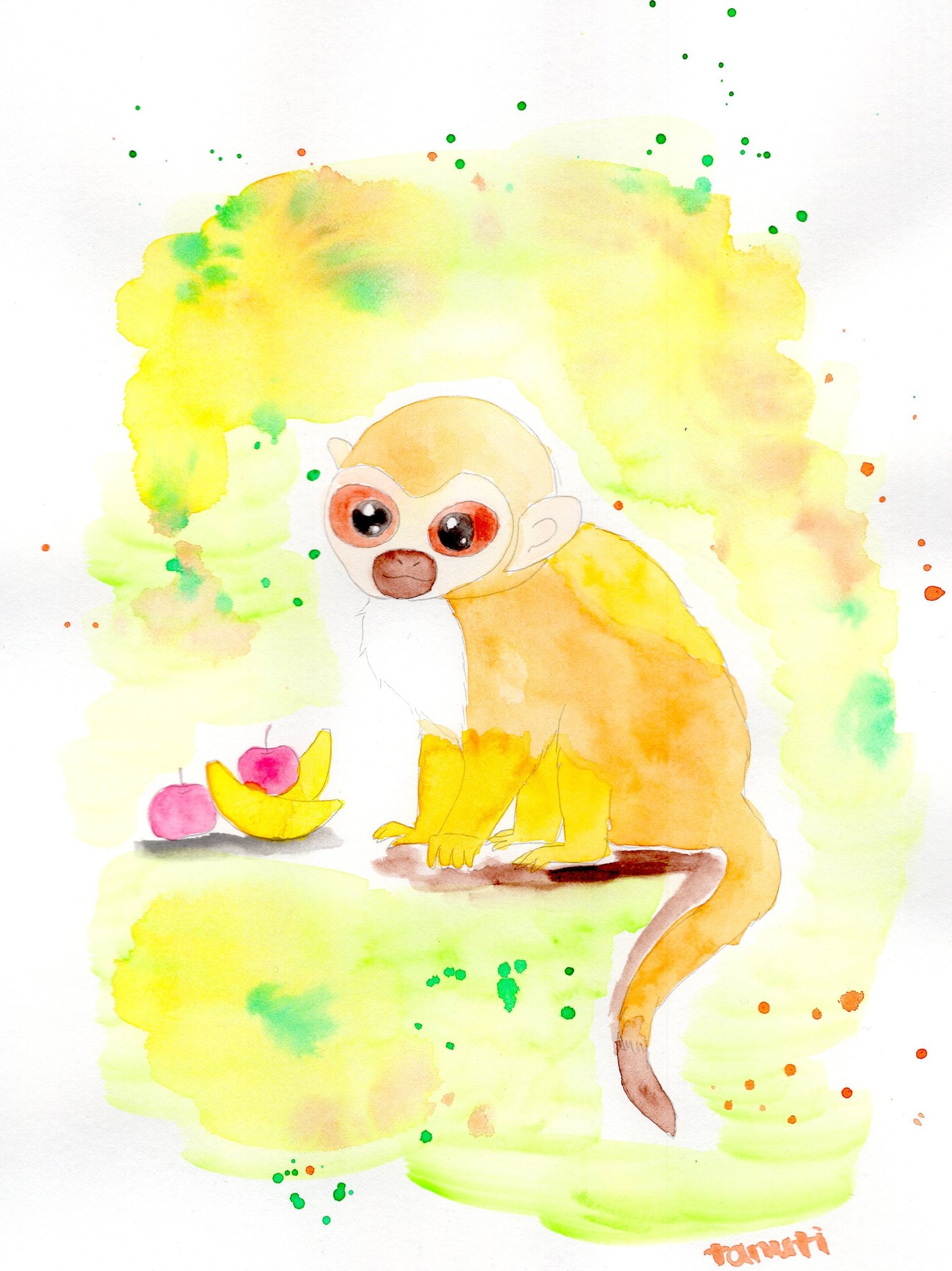 توییتر Tanuti در توییتر リスザル描きました 動物 イラスト お絵かき アート 絵 水彩画 T Co Axg4xgtlht