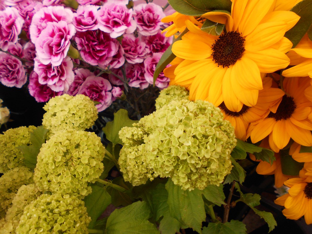 フラワーマルシェ Flowermarche01 Twitter フラワーマルシェ Flowermarche01 Twitter