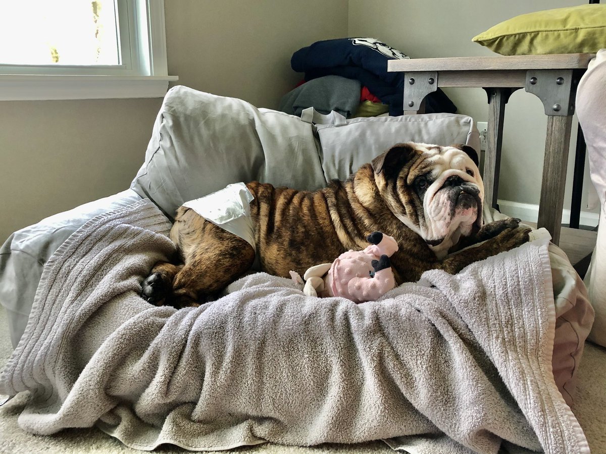 That’s right, I like the couch you got me. Don’t act shocked.