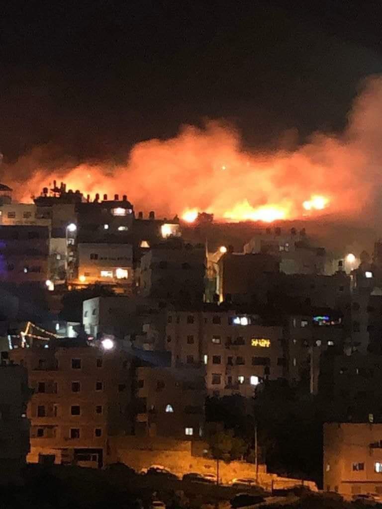 Mohammad1Sharuk's tweet photo. #Gaza is rocked with heavy air strikes and ground invasion by #Israeli forces. The whole world has turned deaf and blind.

#Palestinian #Palastine #PalestineBleeding #IsraeliTerrorism #IsraelTerrorist https://t.co/l8vJ4qNBAE