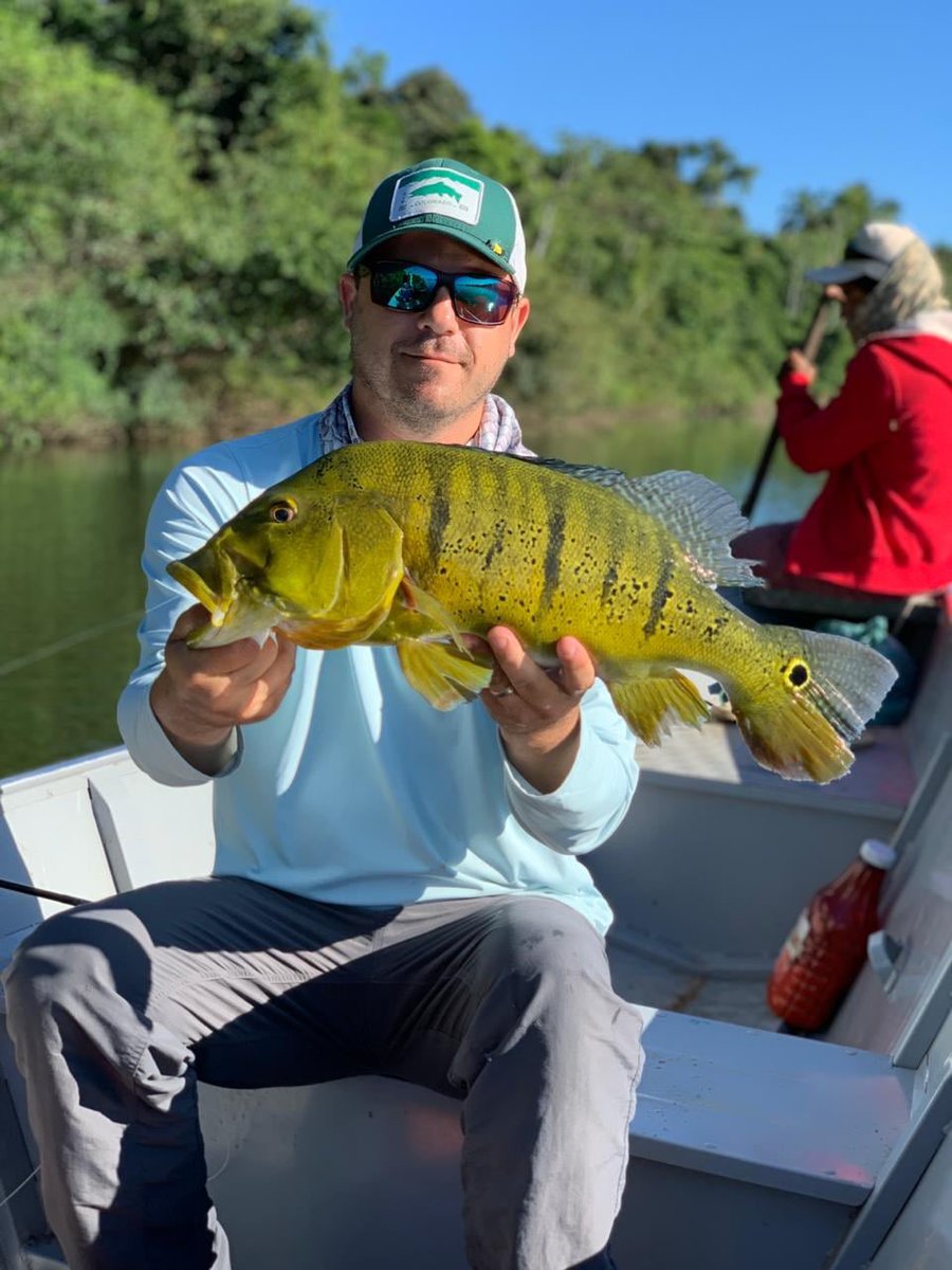 KendjamLodge's tweet photo. The Iriri River is a multi-variety Amazon fly fishing destination where an angler can target more than 10 different species in crystal clear waters.

Ph: Everton Pires 
#flyfishing #flyfish #jungleflyfishing #untamedangling #kendjamlodge https://t.co/S4Rr20w0St