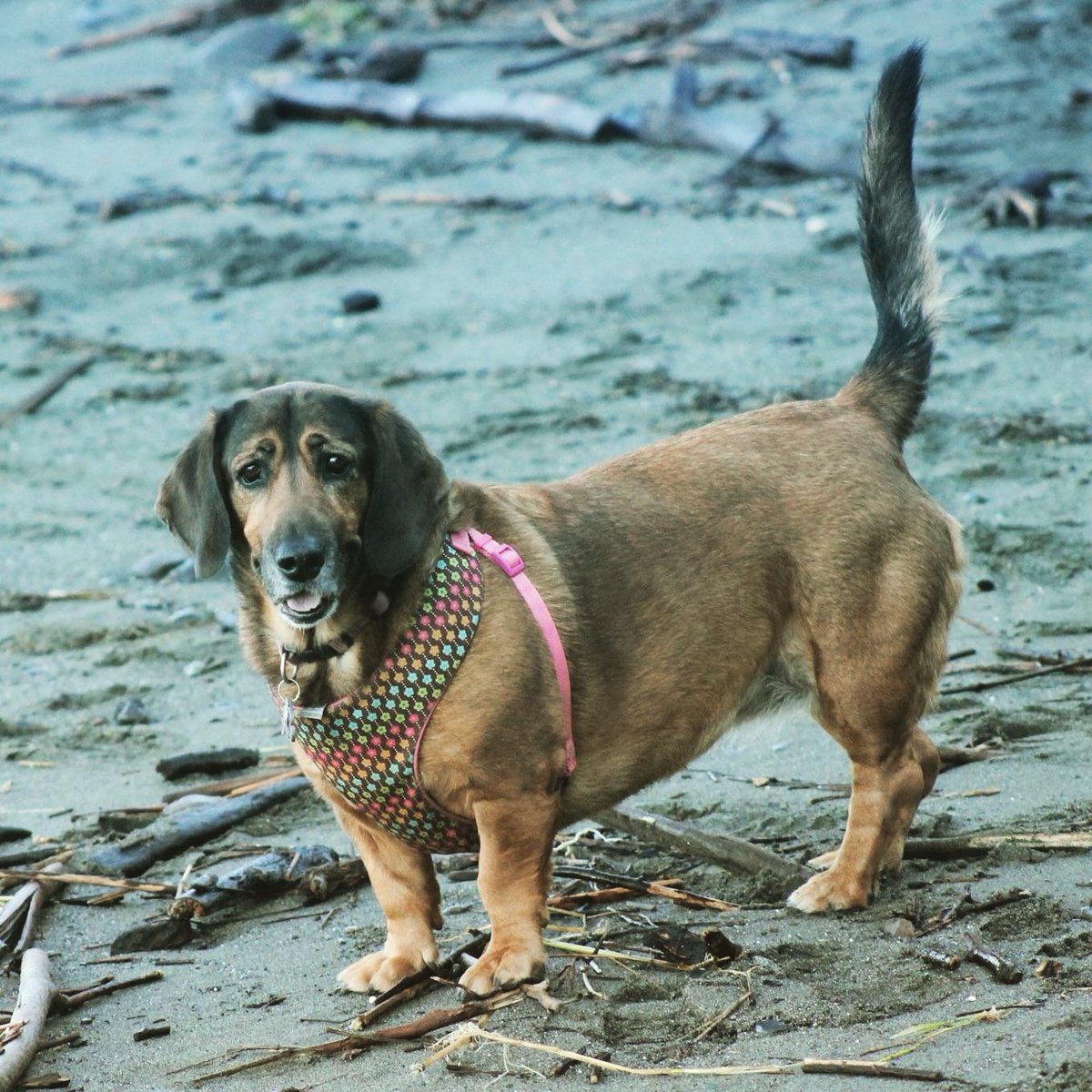 kjwarbri's tweet photo. @georgehahn My favorite girl Peggy Sue https://t.co/XRWLPMLpzT