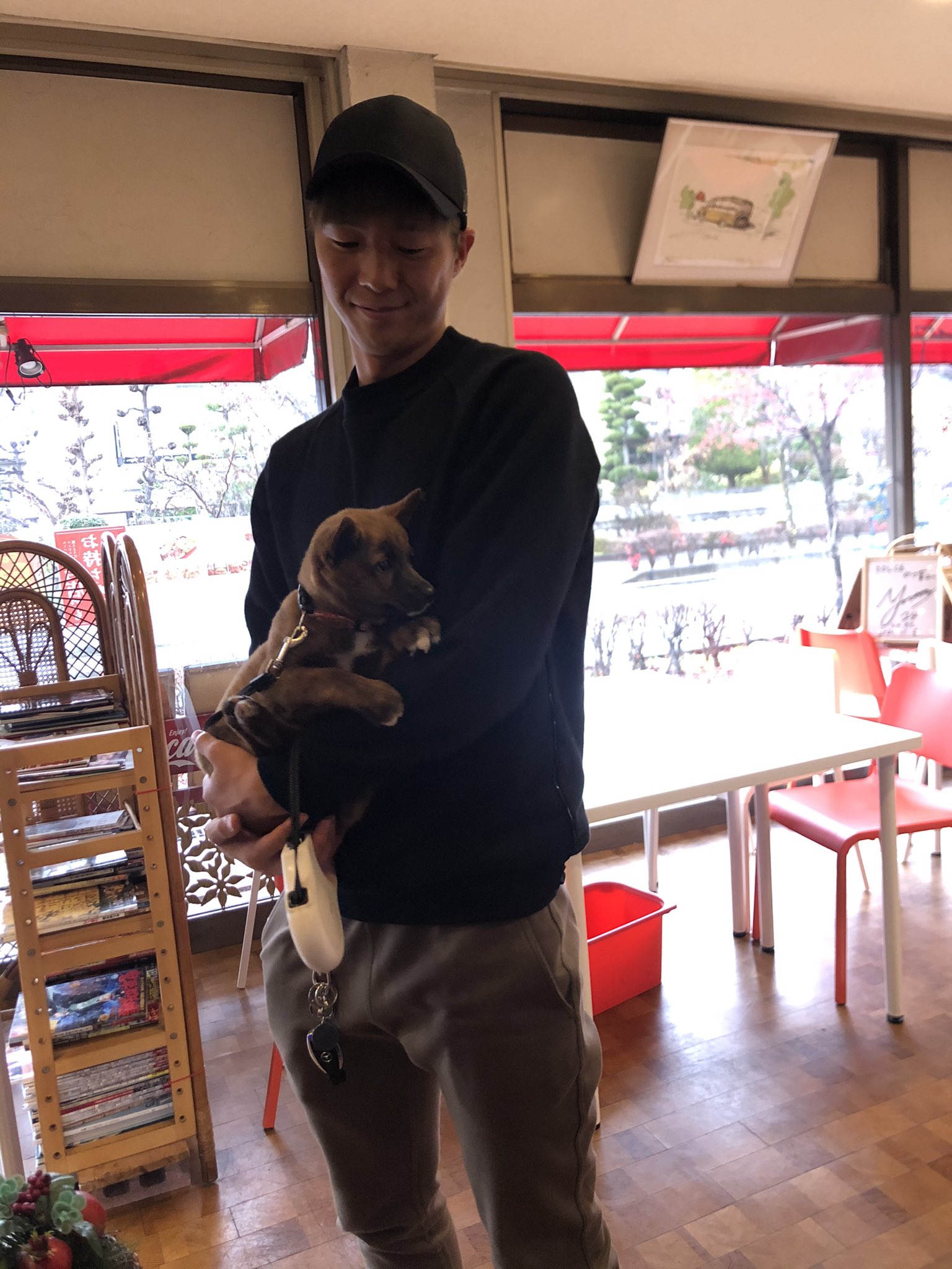 ドルチェ かつ富 昨日は 愛犬の日 当店は実はワンちゃん店内入店 です ですがドッグカフェではないので 吠えたりしてしまう子はご入店できません ごめんなさい 塚川考輝 がんばれ いつも応援してます 川崎フロンターレ いつも笑顔が素敵だよ