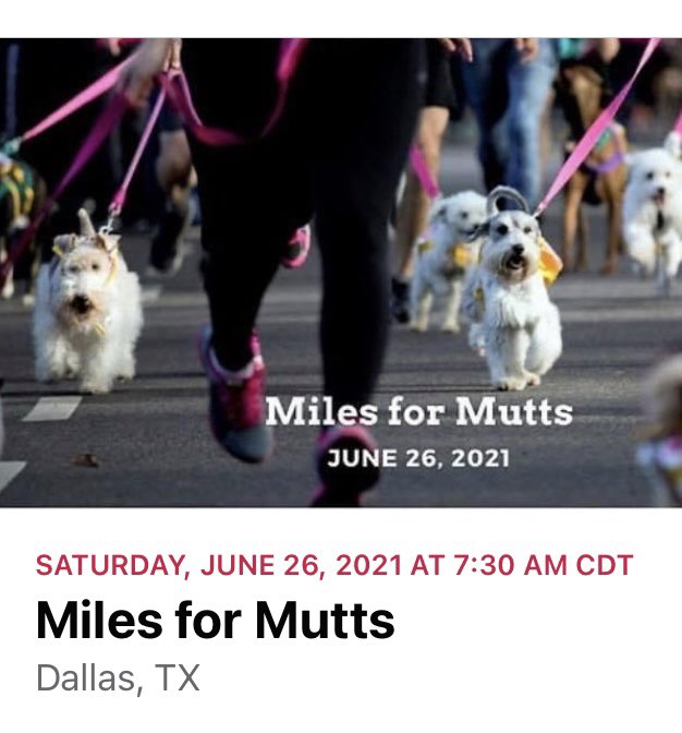 dogslifeorg's tweet photo. What are you waiting for!? Register for #MilesforMutts & help save a #dogslife! πΆ Not local? Want to avoid crowds? There is a virtual option! If you are finally ready for an in person #race? We are here for you! https://t.co/HJx3wcU61j #SaveADogsLife #cancerawareness #doglover https://t.co/75O8JYWY8A