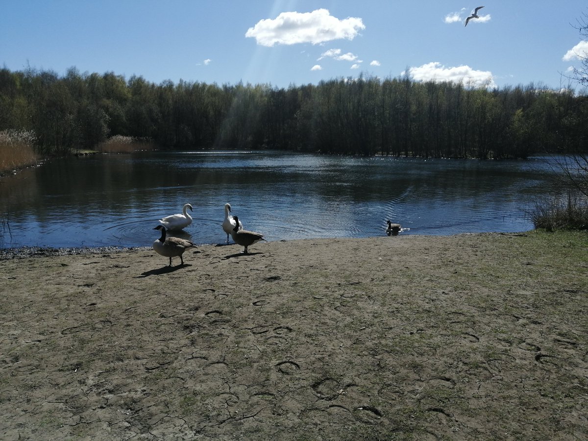 Occupational Health (@swypftoh) on Twitter photo Just being outside
#MentalHealthAwarenessWeek
#ConnectWithNature
#Walton
#Wakefield
<a href="/allofusinmind/">SouthWestYorkshire Partnership NHS FoundationTrust</a> Just being outside
#MentalHealthAwarenessWeek
#ConnectWithNature
#Walton
#Wakefield
<a href="/allofusinmind/">SouthWestYorkshire Partnership NHS FoundationTrust</a>