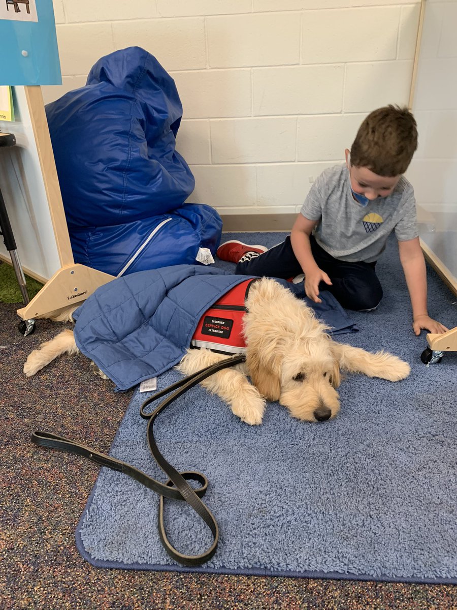 MECC_Counselor2's tweet photo. So #thankful for this #MECCTacular pup! He makes every day better! #MVP #MostValuablePup #Shinerlove #MECCtherapyday @MrsBly_MECC https://t.co/4nZd5uqXBx