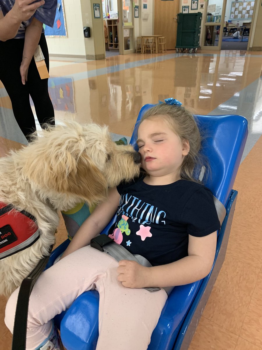 MECC_Counselor2's tweet photo. So #thankful for this #MECCTacular pup! He makes every day better! #MVP #MostValuablePup #Shinerlove #MECCtherapyday @MrsBly_MECC https://t.co/4nZd5uqXBx