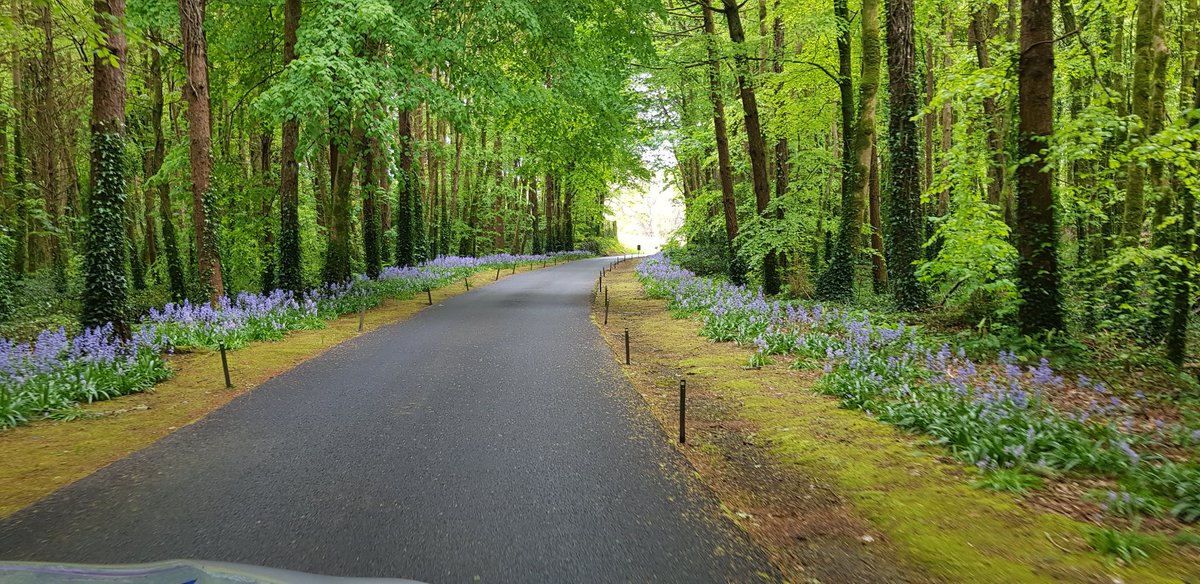 Higgins Hospitality Solutions 🍴🍽 tweet media