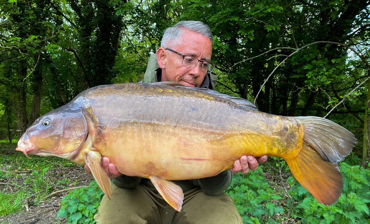 JoeTurnbull69's tweet photo. Well it was one of those days today. The weather was spot on with drizzle all day but a haul of 18 fish made it all worth it!! Three upper doubles amongst them made my day. @MainlineBaits Cell bottom baits over Link did the trick. @KordaOfficial holding tight. #ukcarpangling https://t.co/bgYtwFLEYS