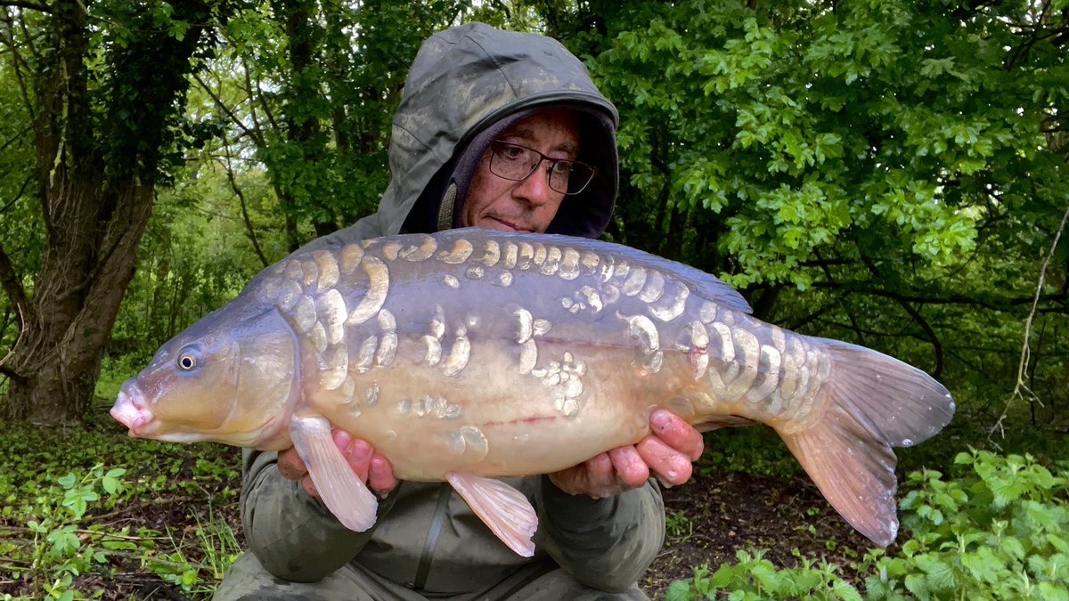 JoeTurnbull69's tweet photo. Well it was one of those days today. The weather was spot on with drizzle all day but a haul of 18 fish made it all worth it!! Three upper doubles amongst them made my day. @MainlineBaits Cell bottom baits over Link did the trick. @KordaOfficial holding tight. #ukcarpangling https://t.co/bgYtwFLEYS