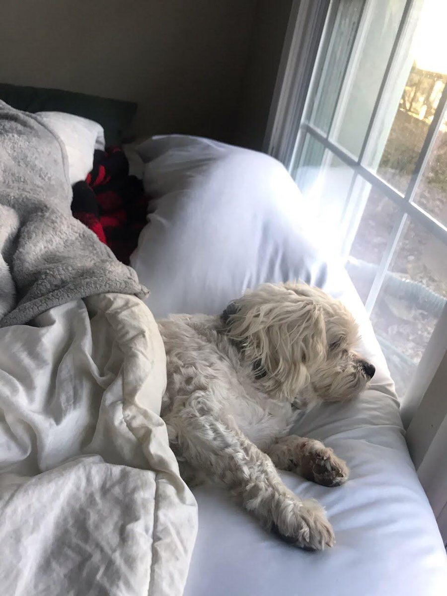 Noah (@tracynoah2) on Twitter photo 