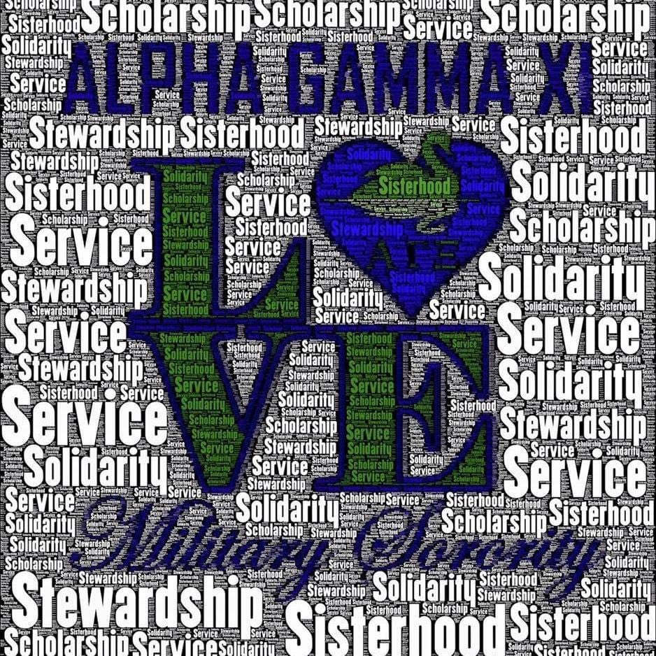 If you were ever wondering what a military sorority is all about….