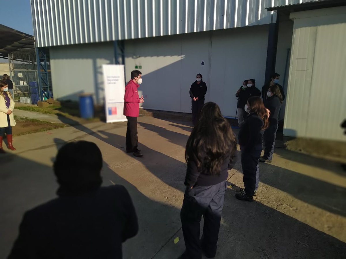 previsionsocial's tweet photo. Cumpliendo con nuestra agenda en cada región de 🇨🇱 que visitamos, en esta oportunidad Subsecretario @SubsePizarro estuvo en AP Export Fruit donde junto a @IslNuble difundieron el #PasoAPasoLaboral el retorno seguro y detalles sobre la red de protección social  #GobiernoEnTerreno https://t.co/xzNNVocnnO