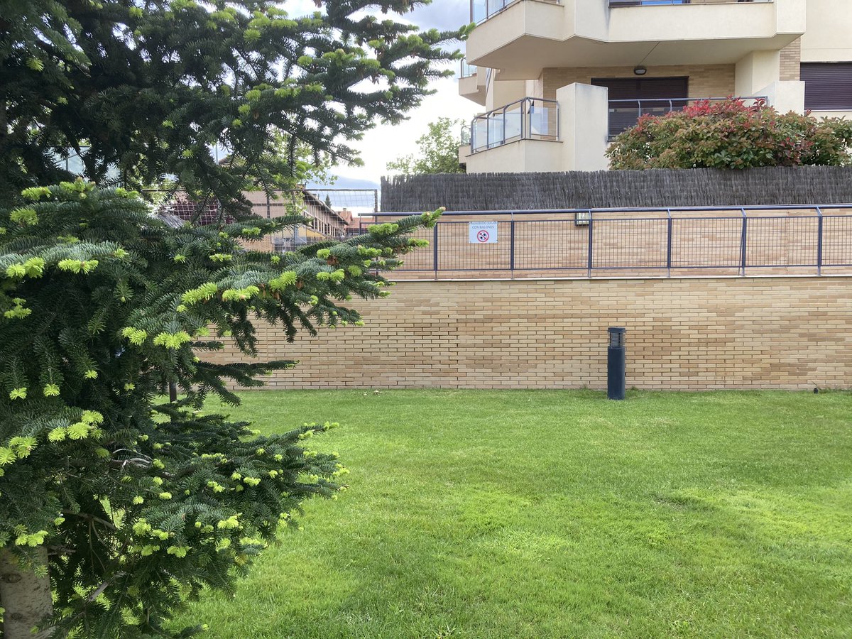Lleva años encarcelado. El balón está arrestado. Se le declara culpable de jugar con los niños y adolescentes en calles y plazas públicas.
Simboliza el final del fútbol callejero, ese lugar originario y carente de normas en el que aprendimos los antiguos.