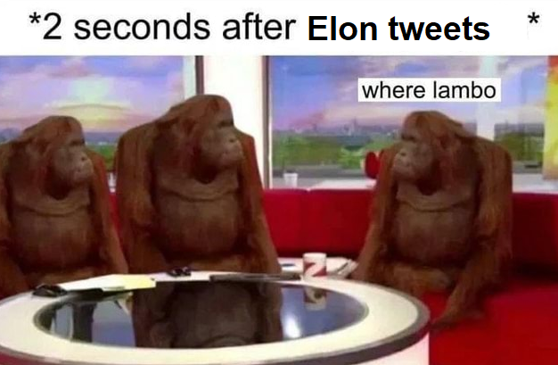 il Capo Of Crypto (@cryptocapo_) on Twitter photo 