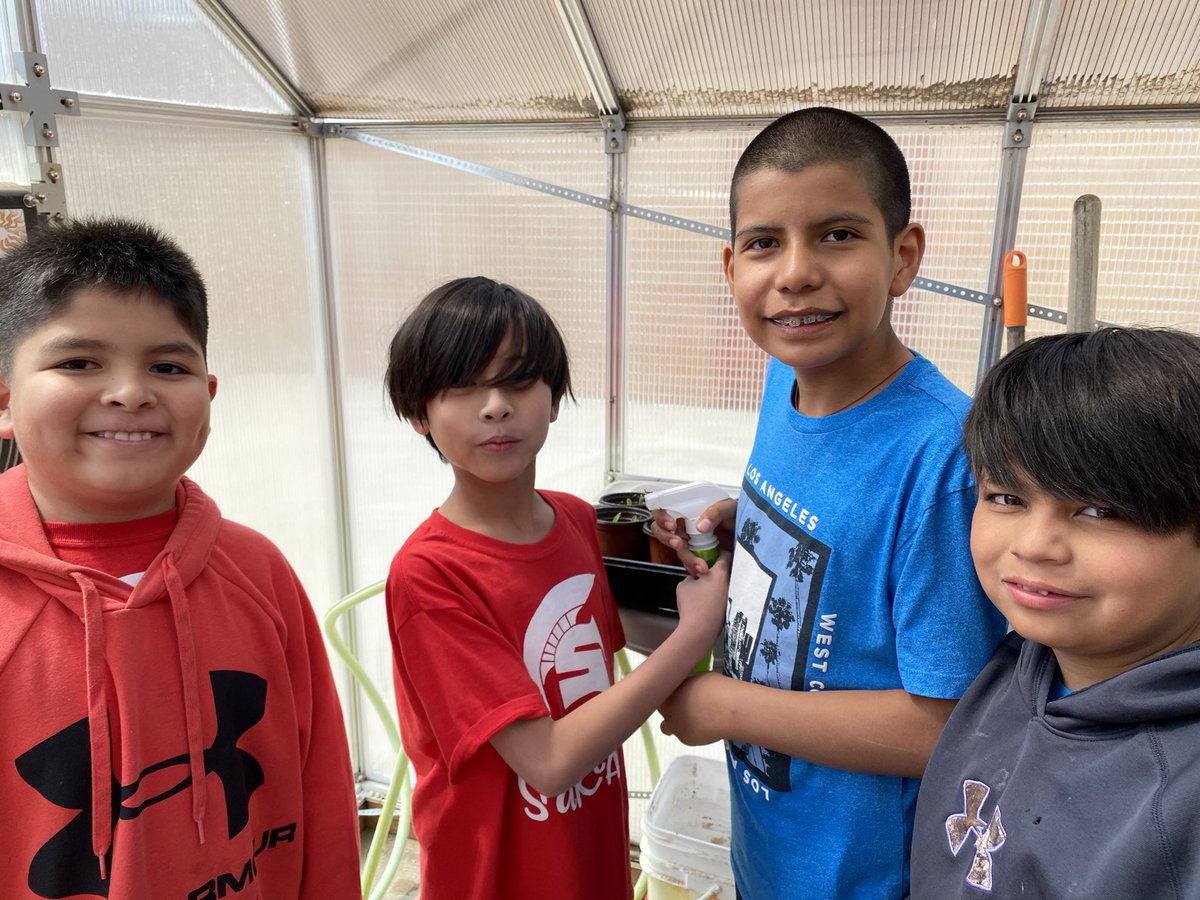 mrssmith4th1's tweet photo. Some more 4th grade fun in the greenhouse #kansascornstem @DESSpartans https://t.co/2tZlwSFFMe