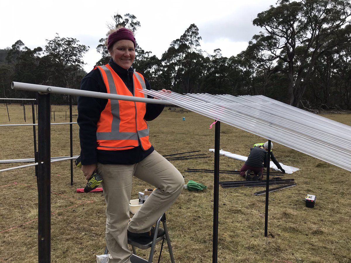 hovendenlab's tweet photo. Chilly day setting up #droughtnet shelters at our WaRM @austmountresfac site at @Tas_Land property Silver Plains as part of @MelGerwin ‘s PhD project. Nature even tested the first few shelters for us right on cue. https://t.co/FuVZ5f0BFx