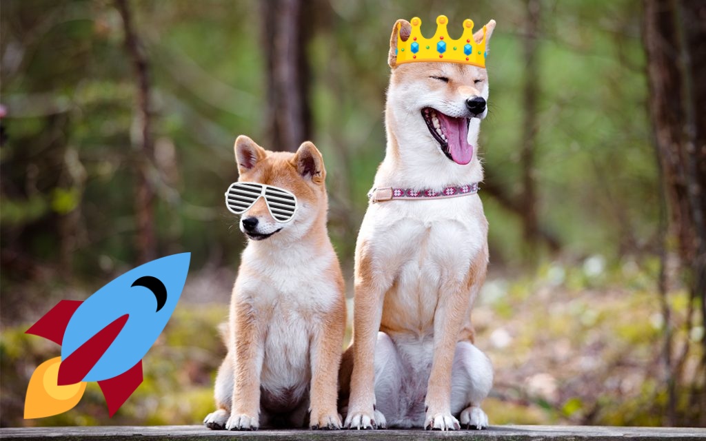 Igor Rakic (@igirock2) | Twitter