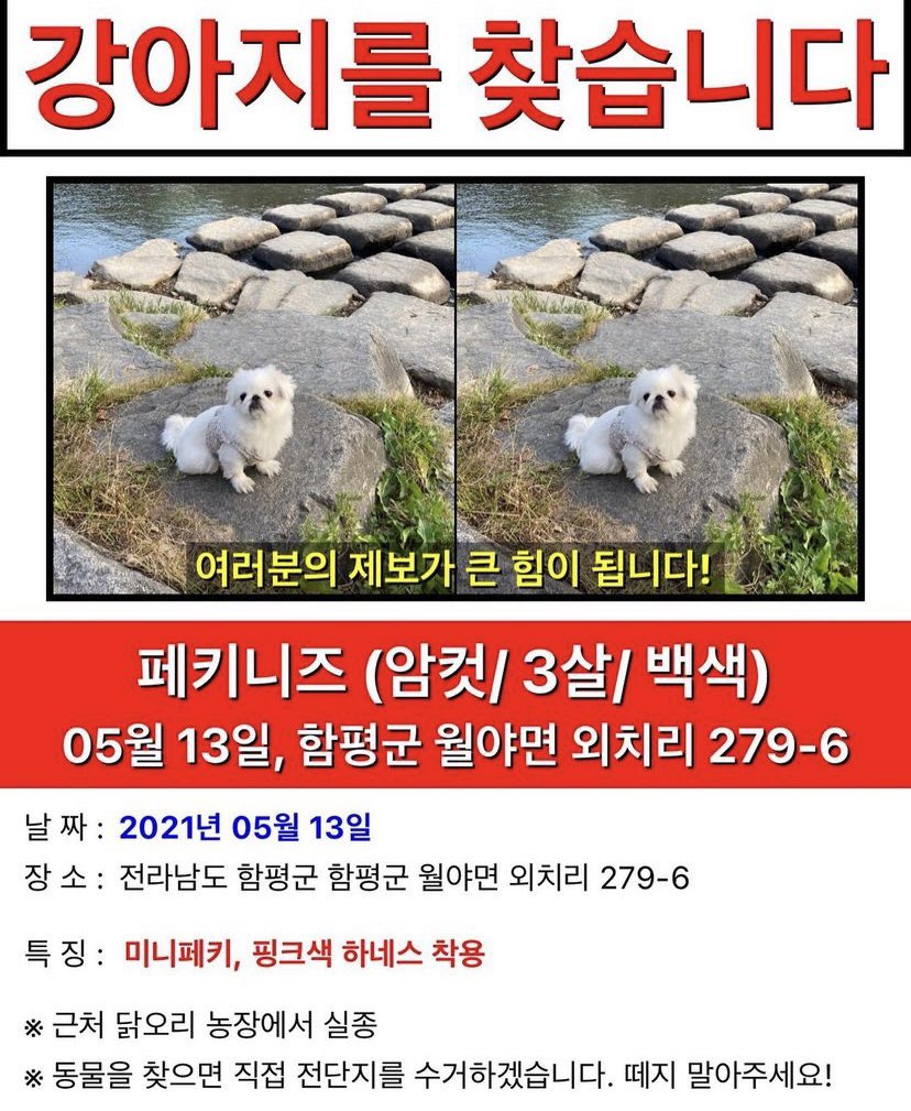 숙대입시 tweet media