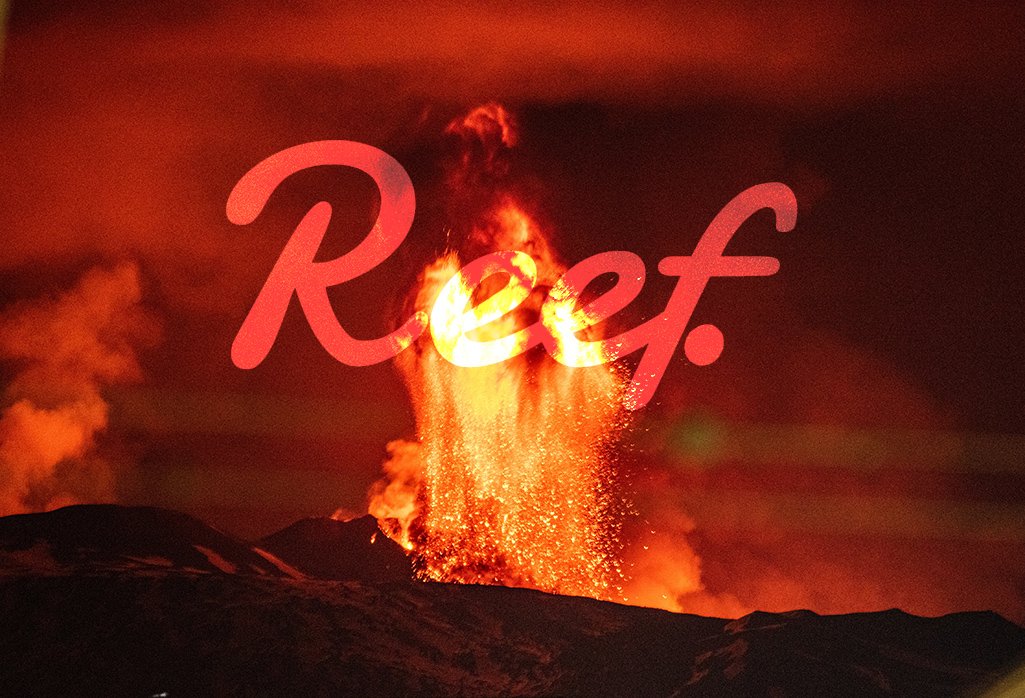 droopy_kat's tweet photo. #REEF #reeffinance #REEFMAINNETSOON #reefVISACard #ReefKingOfDefi https://t.co/vMtL0xCdHC