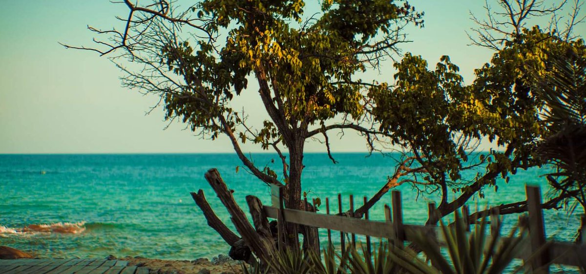 Randis_Albion's tweet photo. I miss the ocean...

#randisalbion #DigitalArtist #anamorphic #lomo #nftcommunity #photography https://t.co/WngoBmhFe0
