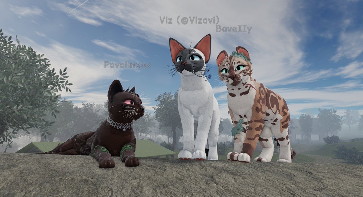 Warrior Cats Ultimate Edition Wcrproblox Twitter - roblox warrior cat morphs