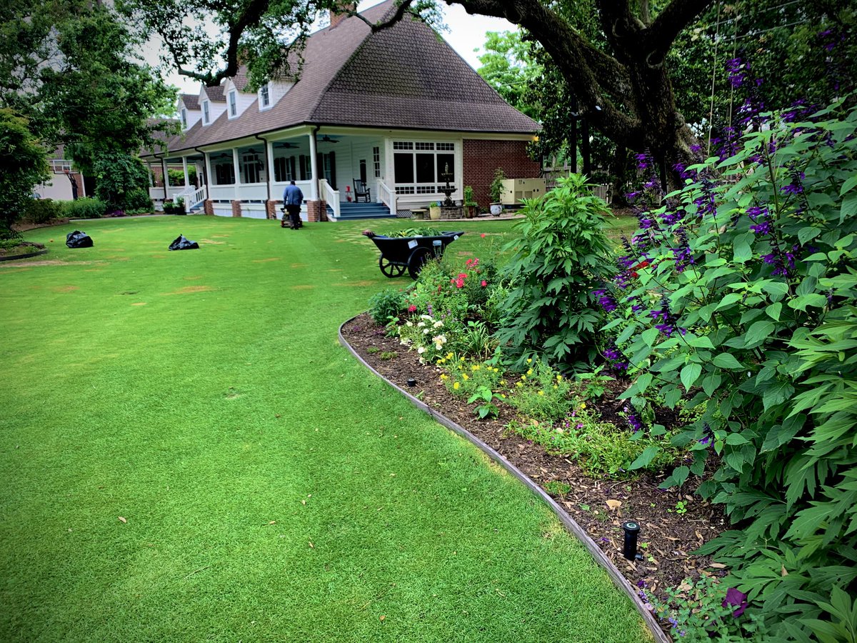 Steve Elkington tweet media