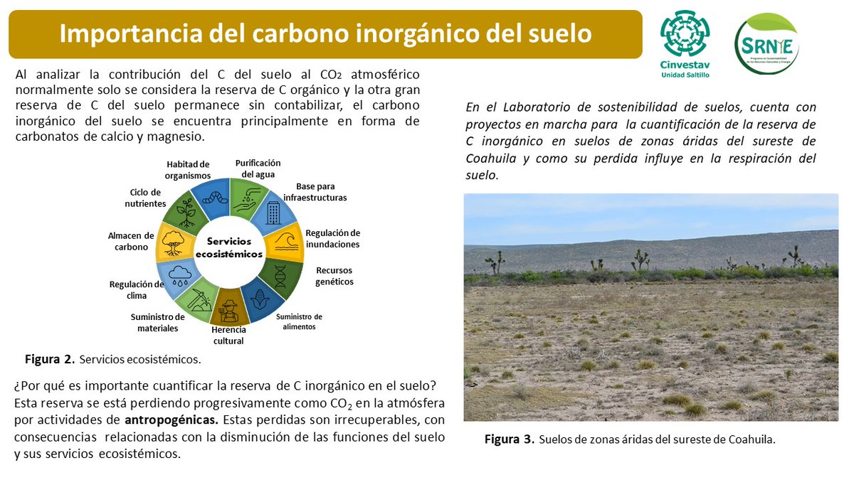 ReneJuares's tweet photo. En colaboración con mi compañera Liliana López @LilianaLG16 presentamos los trabajos de investigación que realizaremos en el @GSRNyE bajo la dirección de la Dra. Dulce Y. Flores Rentería @DulceYaahid #JornadasEstudiantilesSRNyE https://t.co/sc9SglNxpF