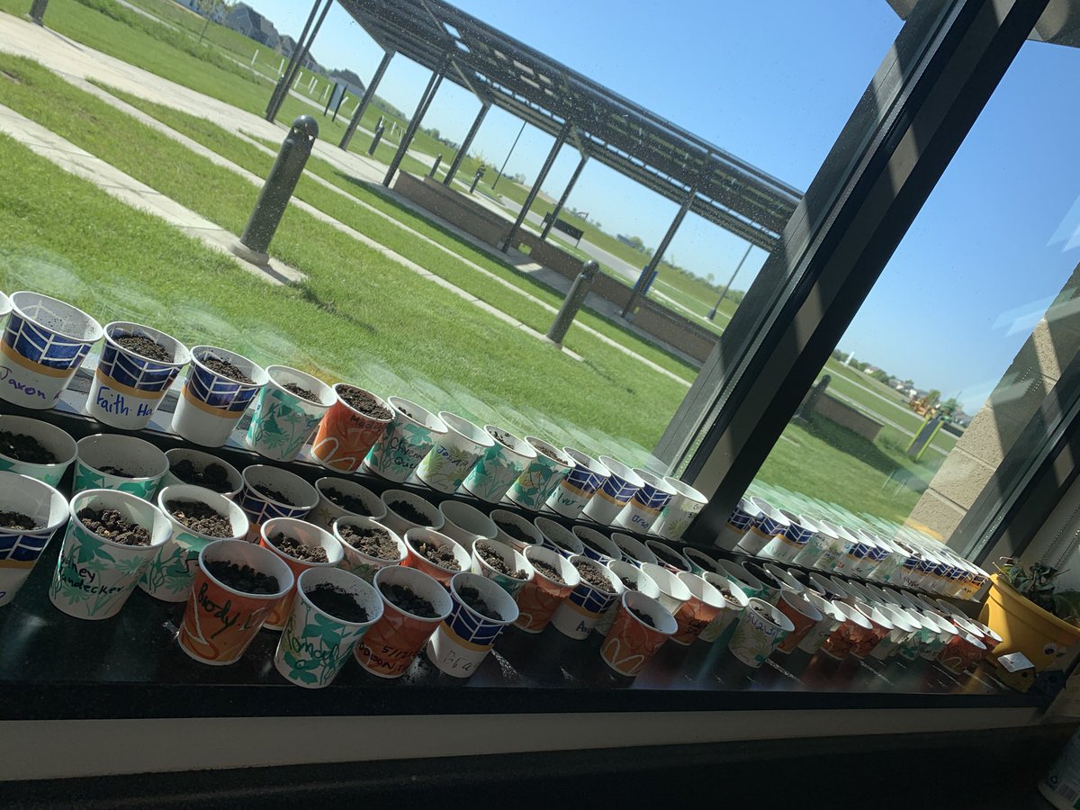 amy_boros's tweet photo. Teaching and planting 🌳s @HPIPerrysburg @PburgSchools #trees #silvermaples https://t.co/nXwFvI9yEl