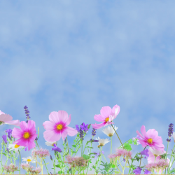 Don't miss your chance to see Persephone Underground live online! our.show/83mh1cec