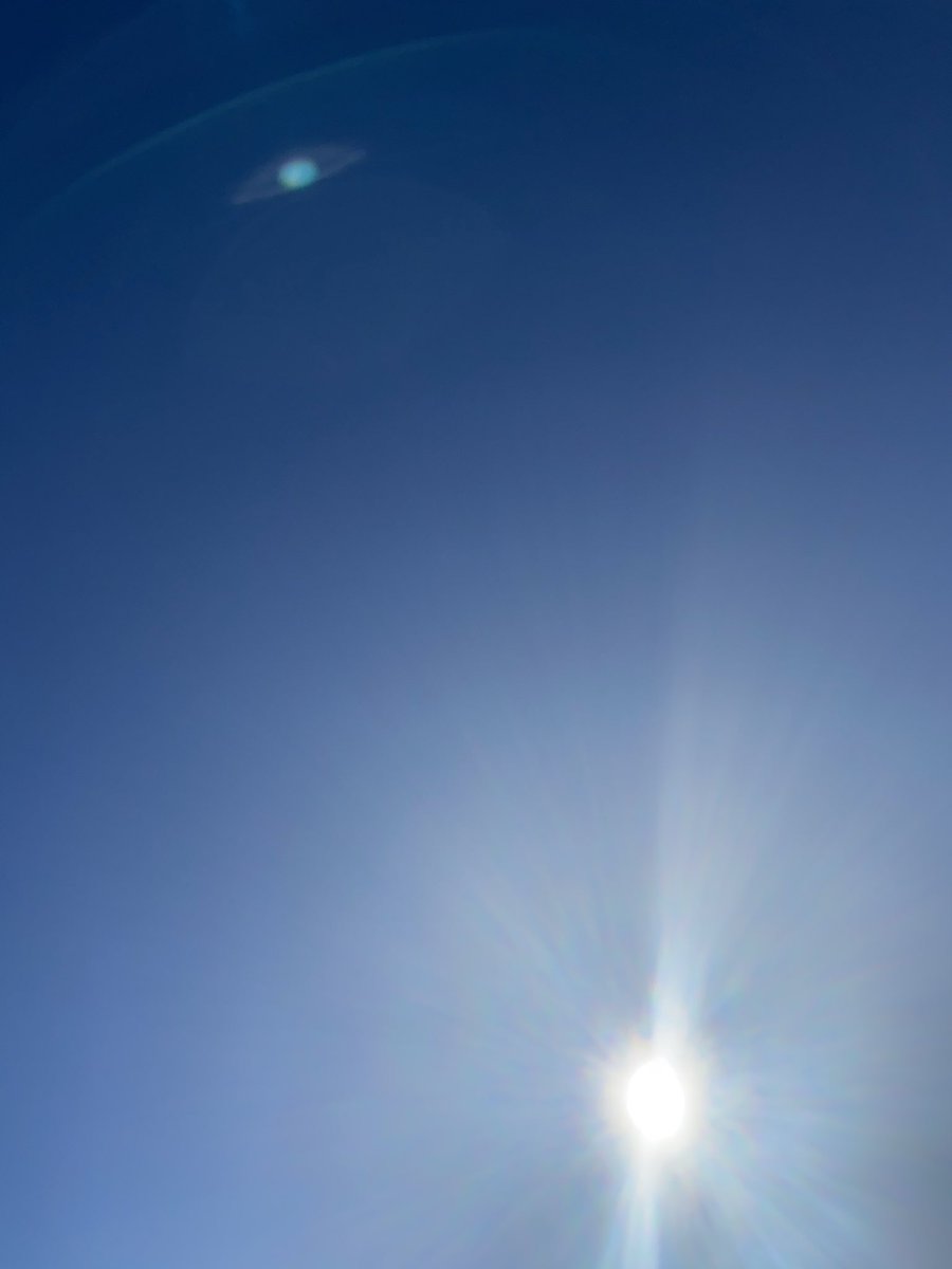 VanessaPirotta's tweet image. Gearing up for a day full of #data collection! 

#fieldwork #fieldworkwin #science