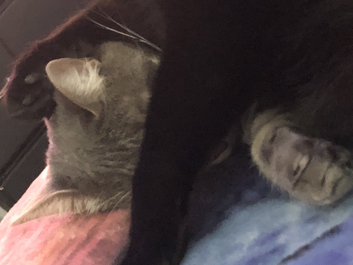 smalcatty's tweet photo. mmy brudder . Blankit https://t.co/HxN0LPJKN2